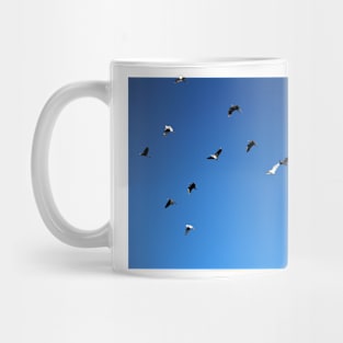 Free As The Birds Mug